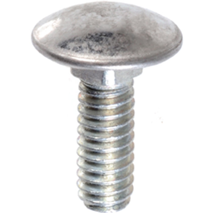 Auveco Bumper Bolt Stainless Steel Cap 1/4-20 X 3/4