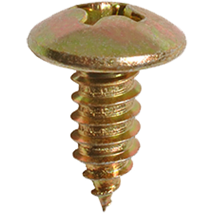 Auvecopak M6-1.81 X 15 MM License Plate Screw
