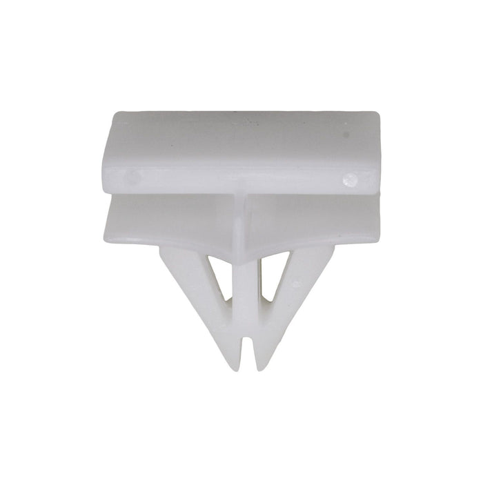 Auvecopak GM Moulding Clip