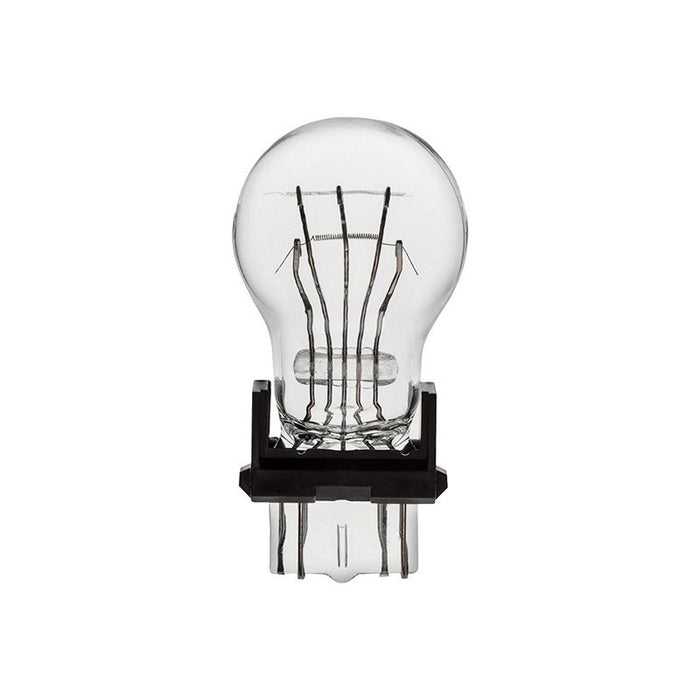 Auveco 16915 Type 7 Miniature Bulb, Clear