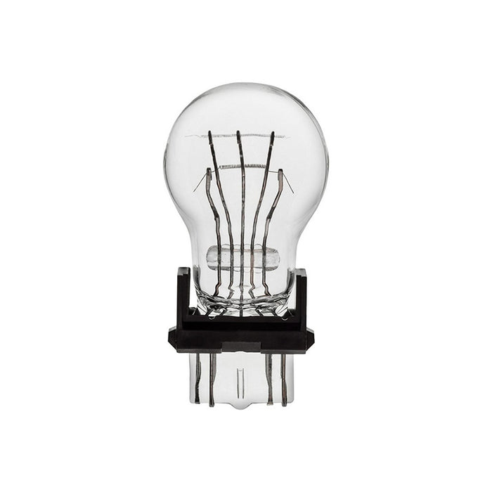 Auveco 16915 Type 7 Miniature Bulb, Clear