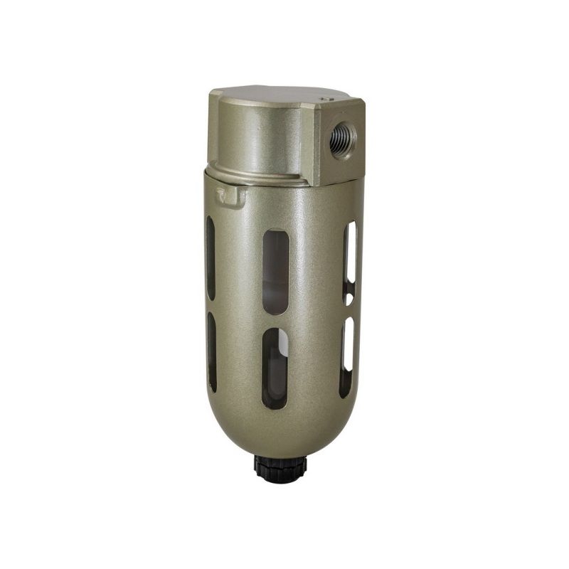 Air Filter 1040 - 1/4 in FNPT Port, 40 µm Rating, Inline Design