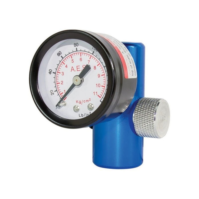 AES Industries Industries 880 Air Regulator with Gauge, 1/4 in MNPT Inlet, 1/4 in FNPT Outlet, 160 p