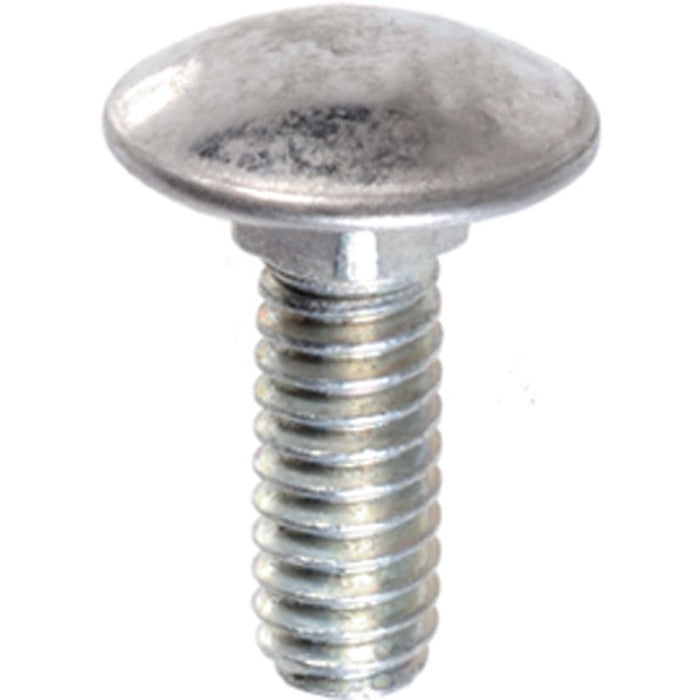 Auveco Bumper Bolt Stainless Steel Cap 1/4-20 X 3/4