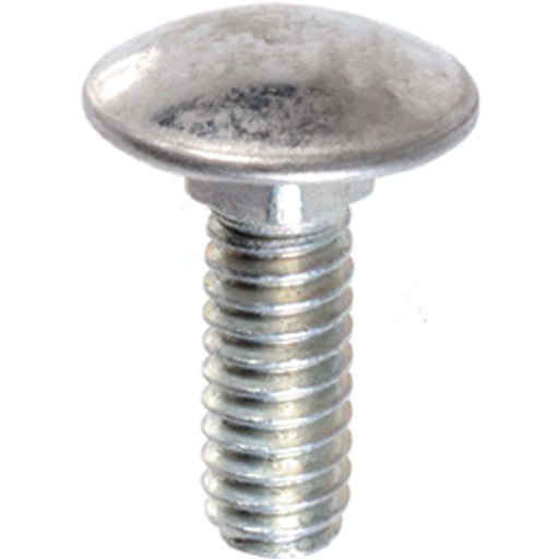 Auveco Bumper Bolt Stainless Steel Cap 1/4-20 X 3/4