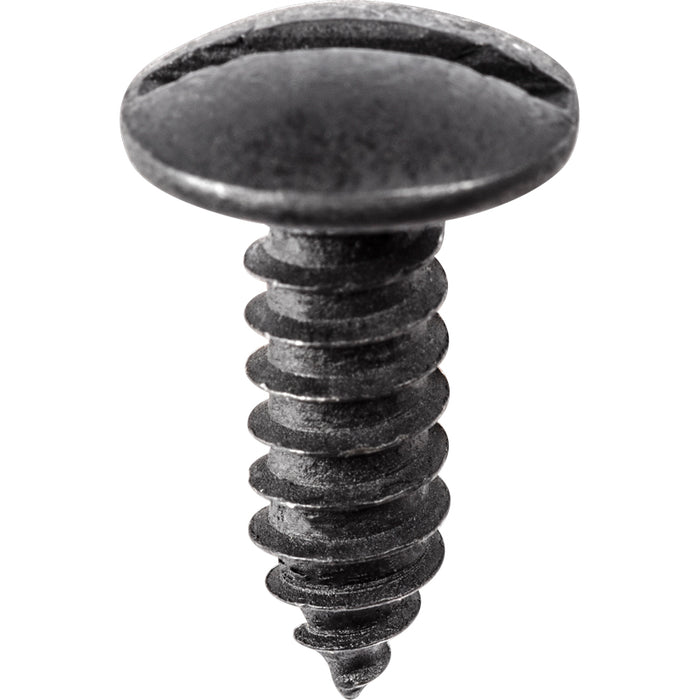 Auvecopak #14 X 3/4" License Plate Screw