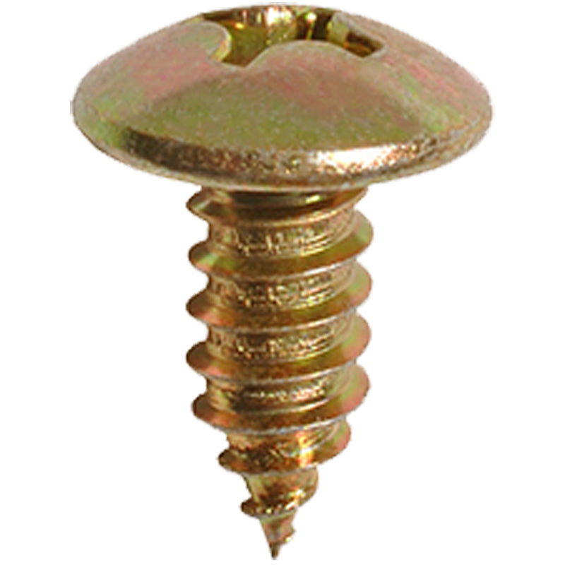 Auvecopak M6-1.81 X 15 MM License Plate Screw