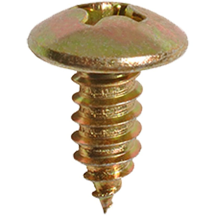 Auvecopak M6-1.81 X 15 MM License Plate Screw