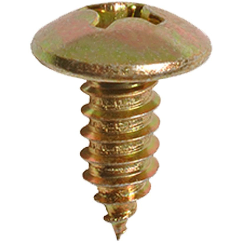 Auvecopak M6-1.81 X 15 MM License Plate Screw