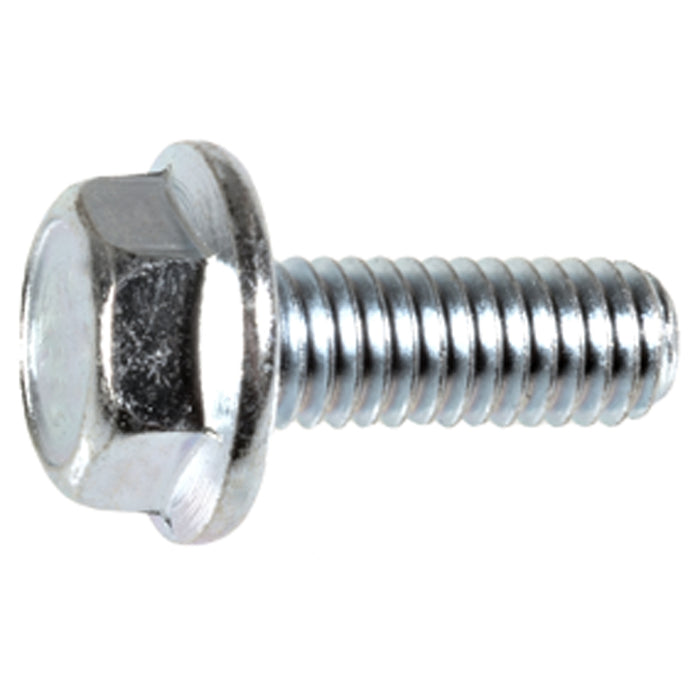 Auvecopak M6-1.0 X 16MM License Plate Screw