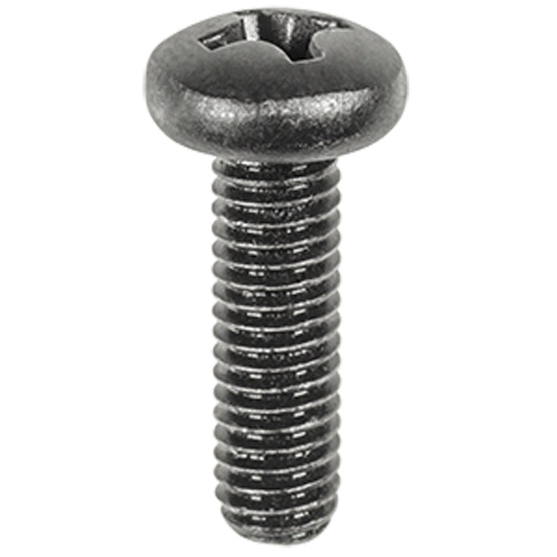 M6-1.0 X 20MM License Plate Screws