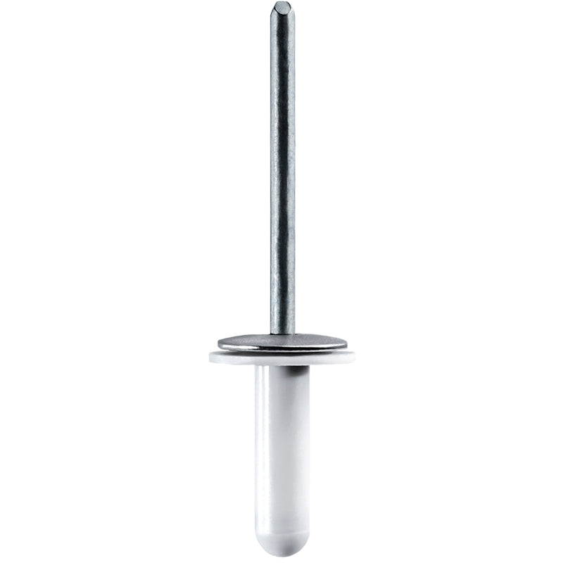 Lexus Specialty Rivet