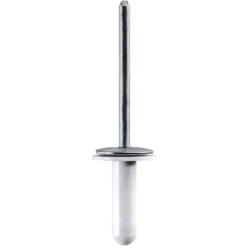 Auveco Lexus Specialty Rivet