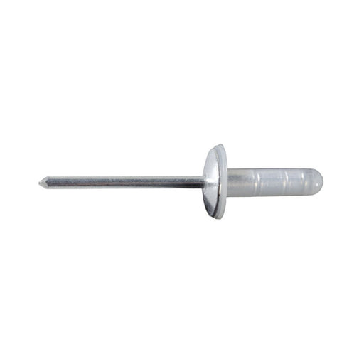Auveco Toyota & Lexus Rivet W/ Plastic Cap