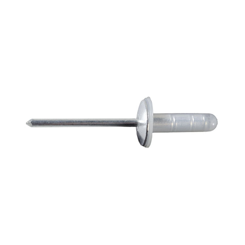 Toyota & Lexus Rivet W/ Plastic Cap