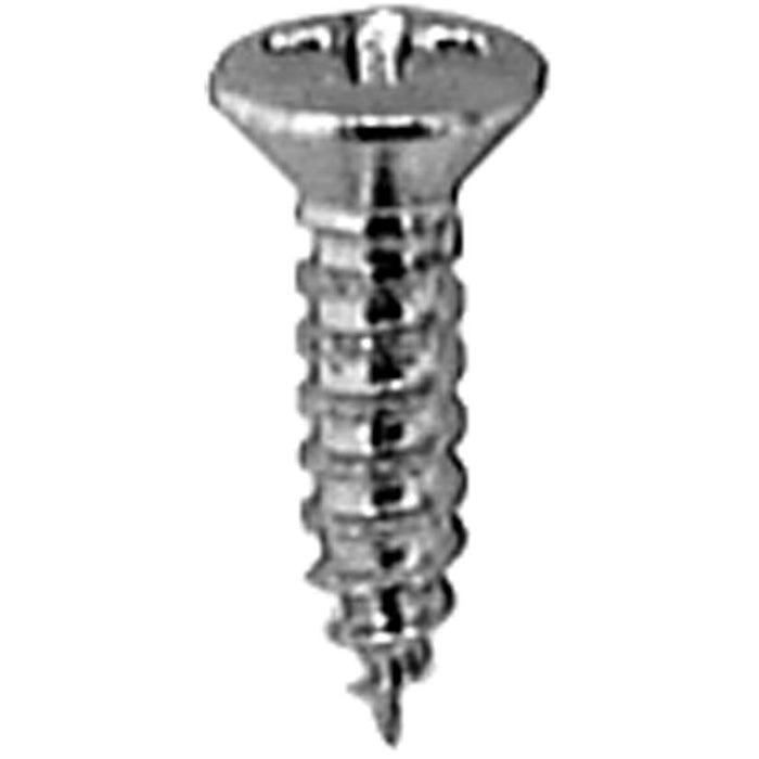 Auveco 6 X 1/2 Phillips Oval Head Tap Screw Chrome