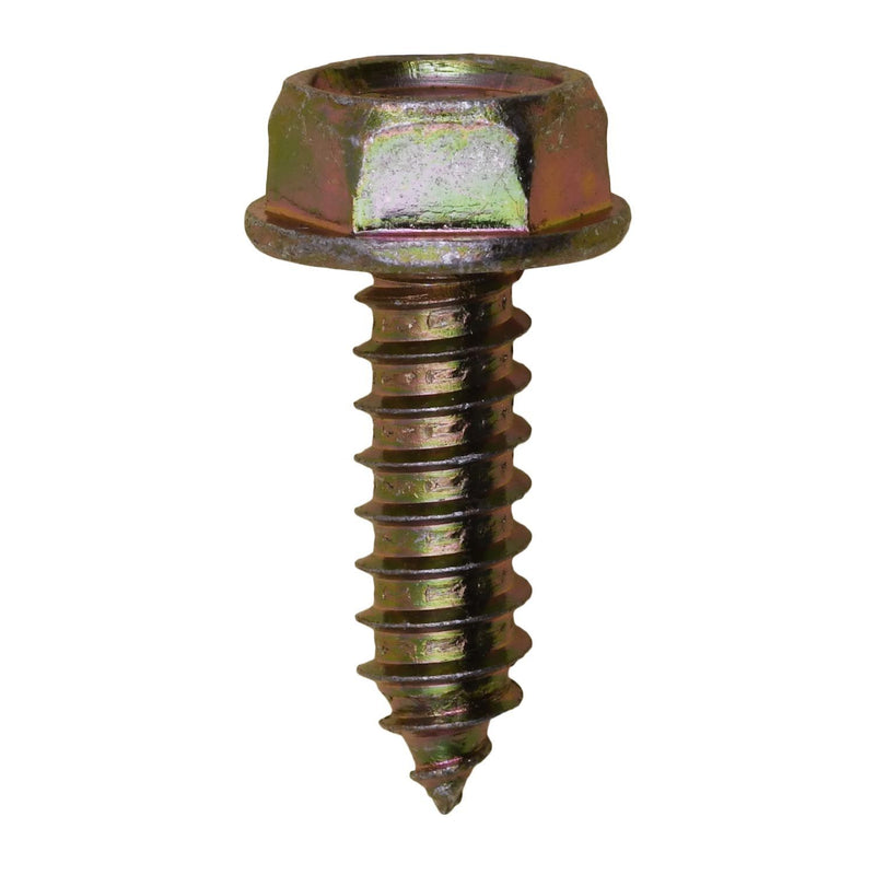 M6-1.81 X 20MM License Plate Screws