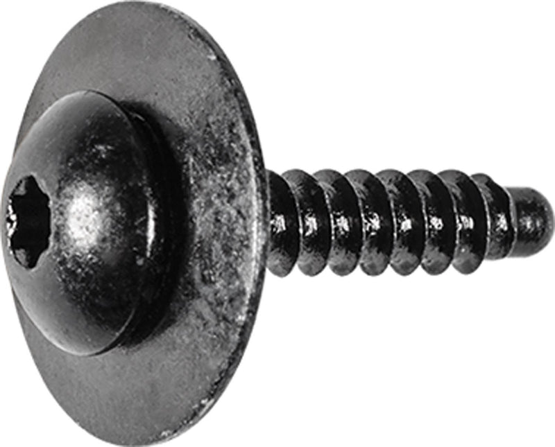 Torx Pan Head Sems Tap Screw With Dog Point