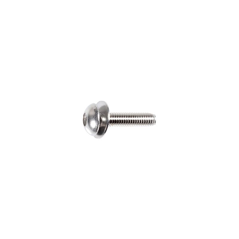 14947 Torx Pan-Head Sems Mirror Mounting Screw, M6 × 1 mm Thread, 26 mm Length, Chrome Finish