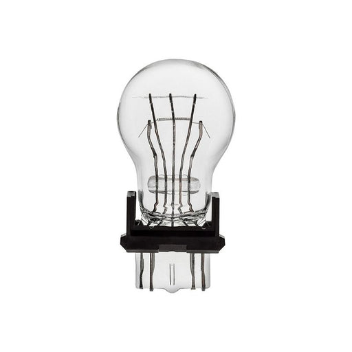 Auveco 16915 Type 7 Miniature Bulb, Clear