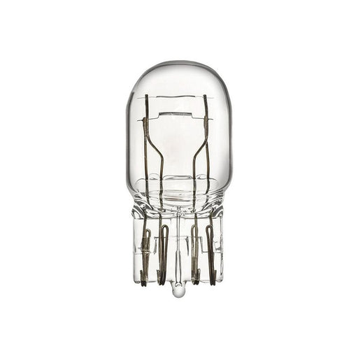 Auveco 19207 Type 16 Miniature Bulb, Clear
