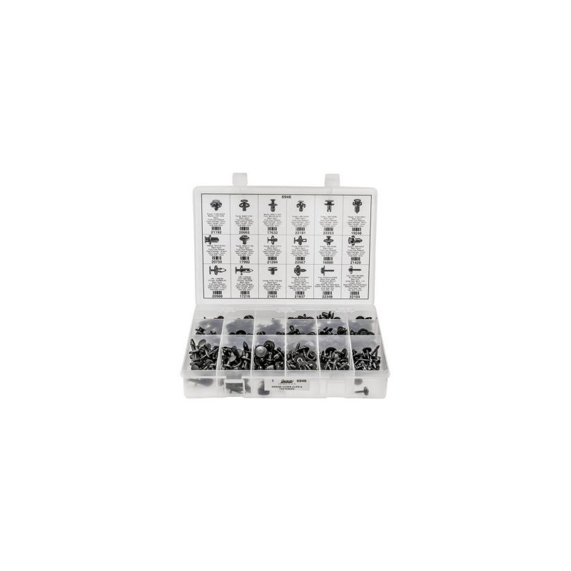 6946 Engine Cover Clip and Fastener Assortment