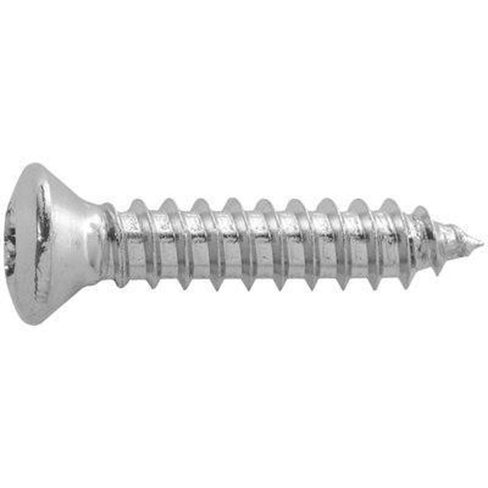 Auveco Torx Oval Tapping Screw 4.2 X 20MM
