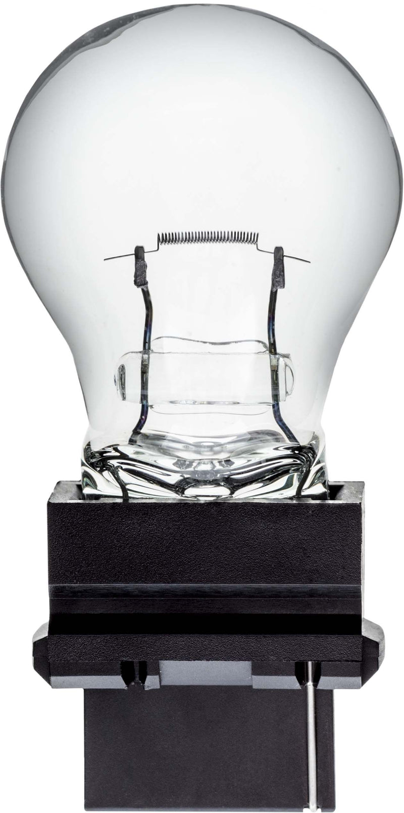 Pk Ind Bulb # 3156 (10 Per Box)