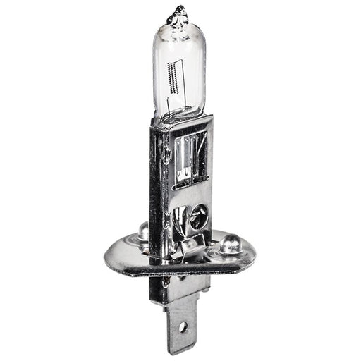 Auveco Pk # H1 Bulb P14.5S Base 12 Volt 55 Watt (1 Per Box)