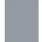 Carborundum Abrasives Carborundum Carbo Mirror Finish 63872 Sanding Sheet, 5-1/2 in W x 9 in L, 1000