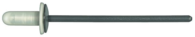 Disco Automotive Hardware Black Alum/Steel Capped Rivets