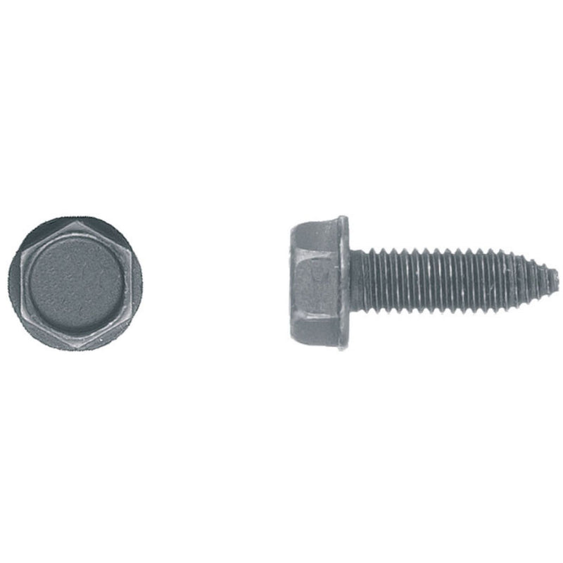 8-1.25 X 25MM 13MM Hex
