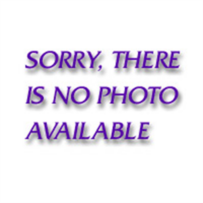 Gearwrench 1/4" Non-Quick Release Ratchet Repair Kit (dual pa
