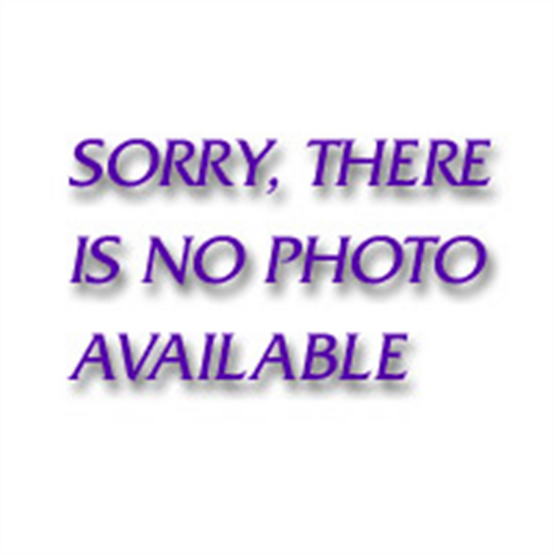 1/4" Non-Quick Release Ratchet Repair Kit (dual pa
