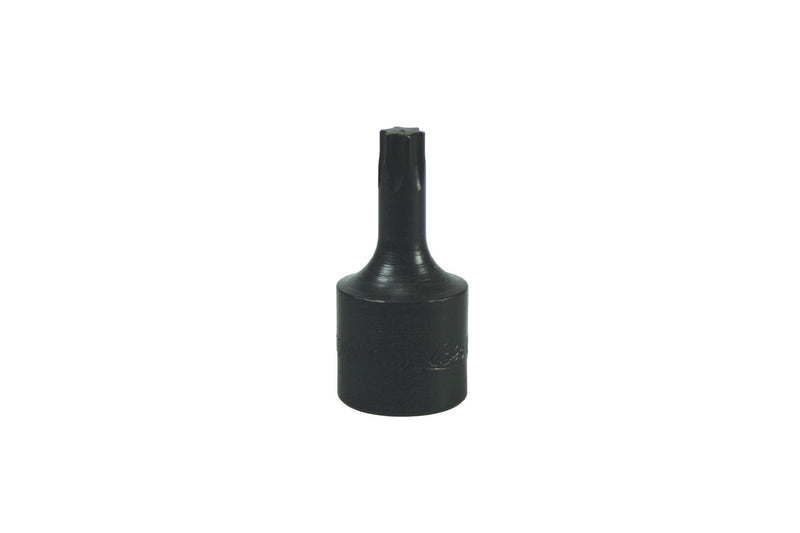 Torx Drive Bit-T40