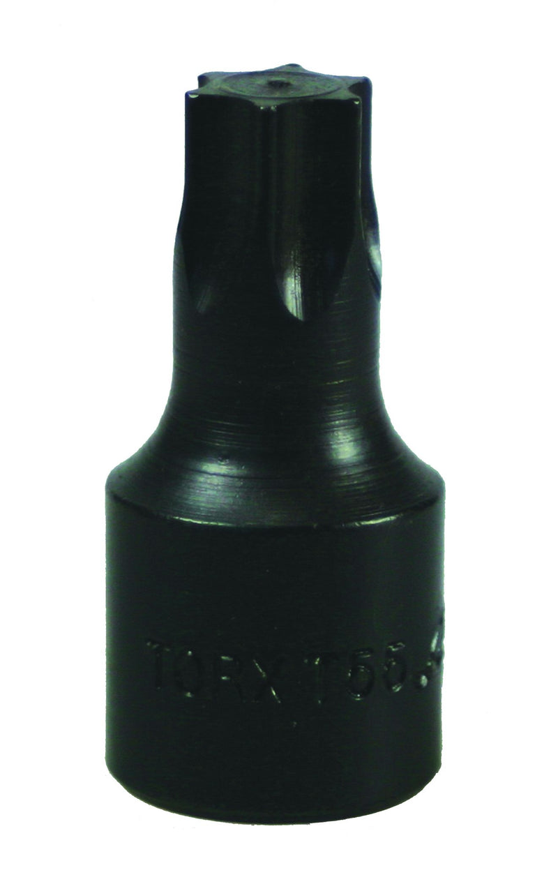 Torx Drive Bit-T55