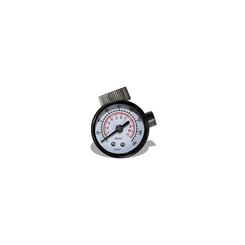 9069 Air Regulator with Pressure Gauge, 1/4 in NPT, 160 psi