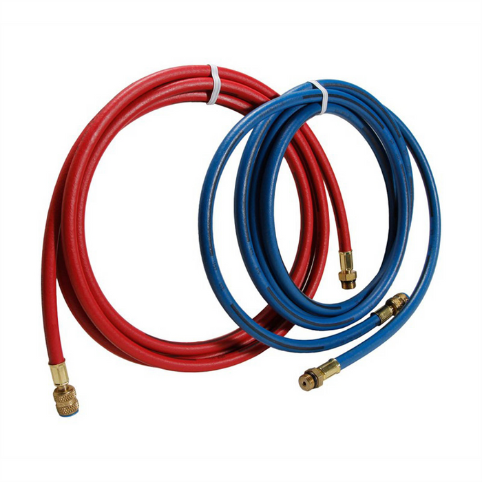 Robinair 9' Long Red and Blue R-134a Enviro-Guard Hose Set