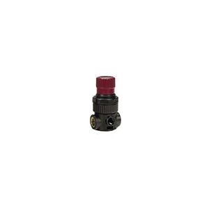 Reading Technologies RTi MR-1 HVLP Mini Regulator, 1/4 in Inlet/Outlet, 200 psi