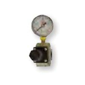 Reading Technologies, Inc. RTi RG25 Regulator and Gauge Assembly, 1/4 in