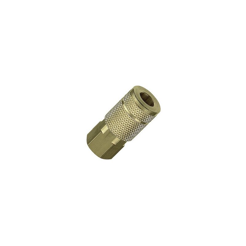 13-135 Carded Coupler 1/4 in FNPT Brass