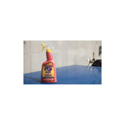Wizards Products MIST-N-SHINE 01214 High-Gloss Professional Car Detailer and Surface Cleaner, 22 oz
